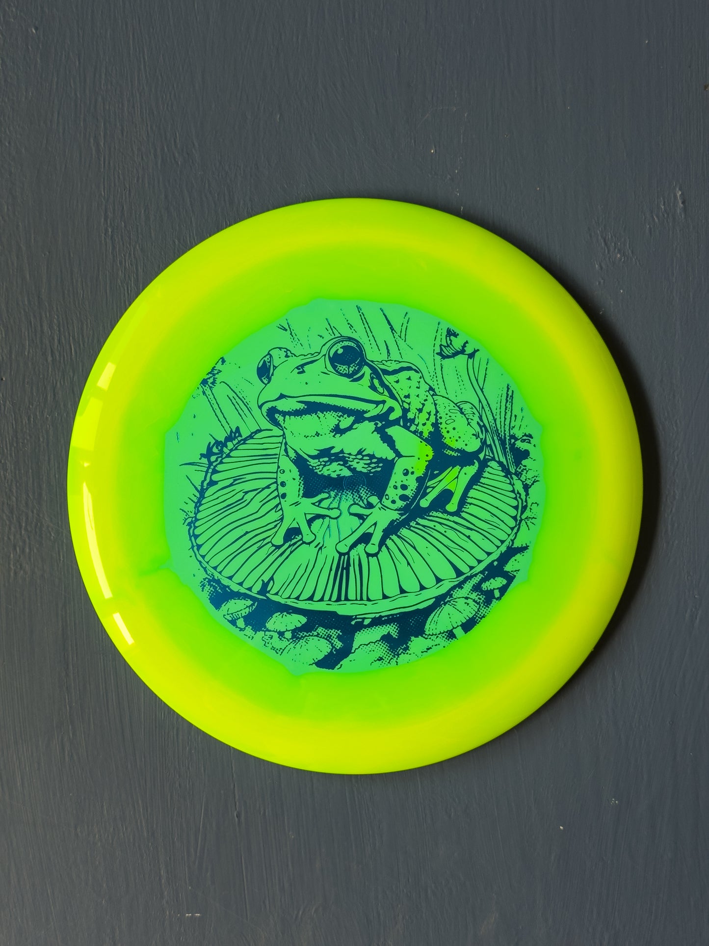 Froggy Halo Star Sidewinder
