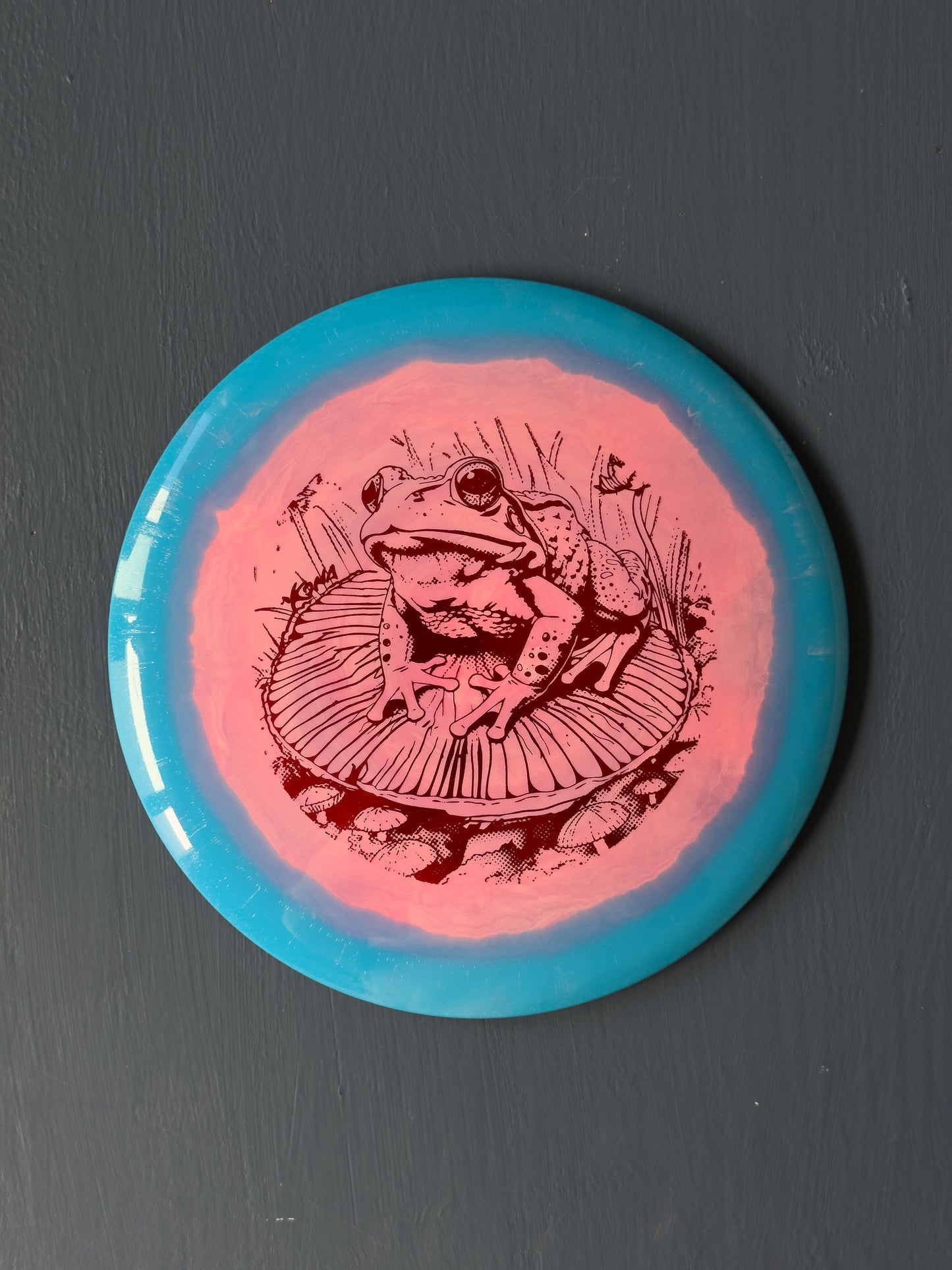 Froggy Halo Star Roadrunner