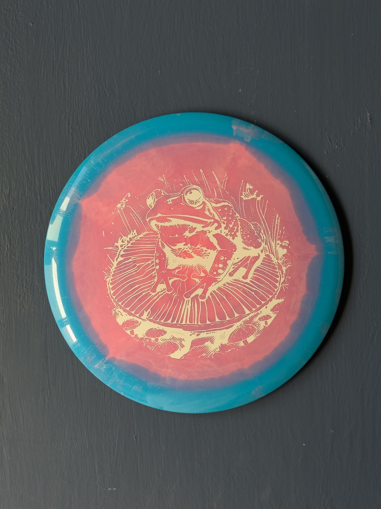Froggy Halo Star Roadrunner