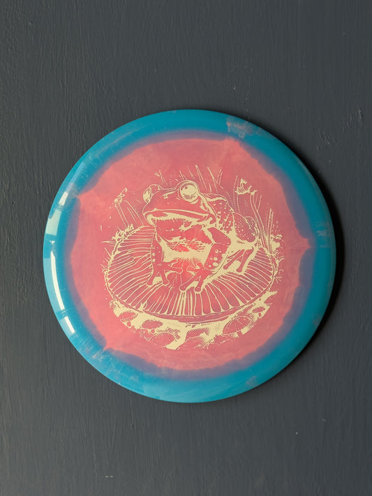 Froggy Halo Star Roadrunner