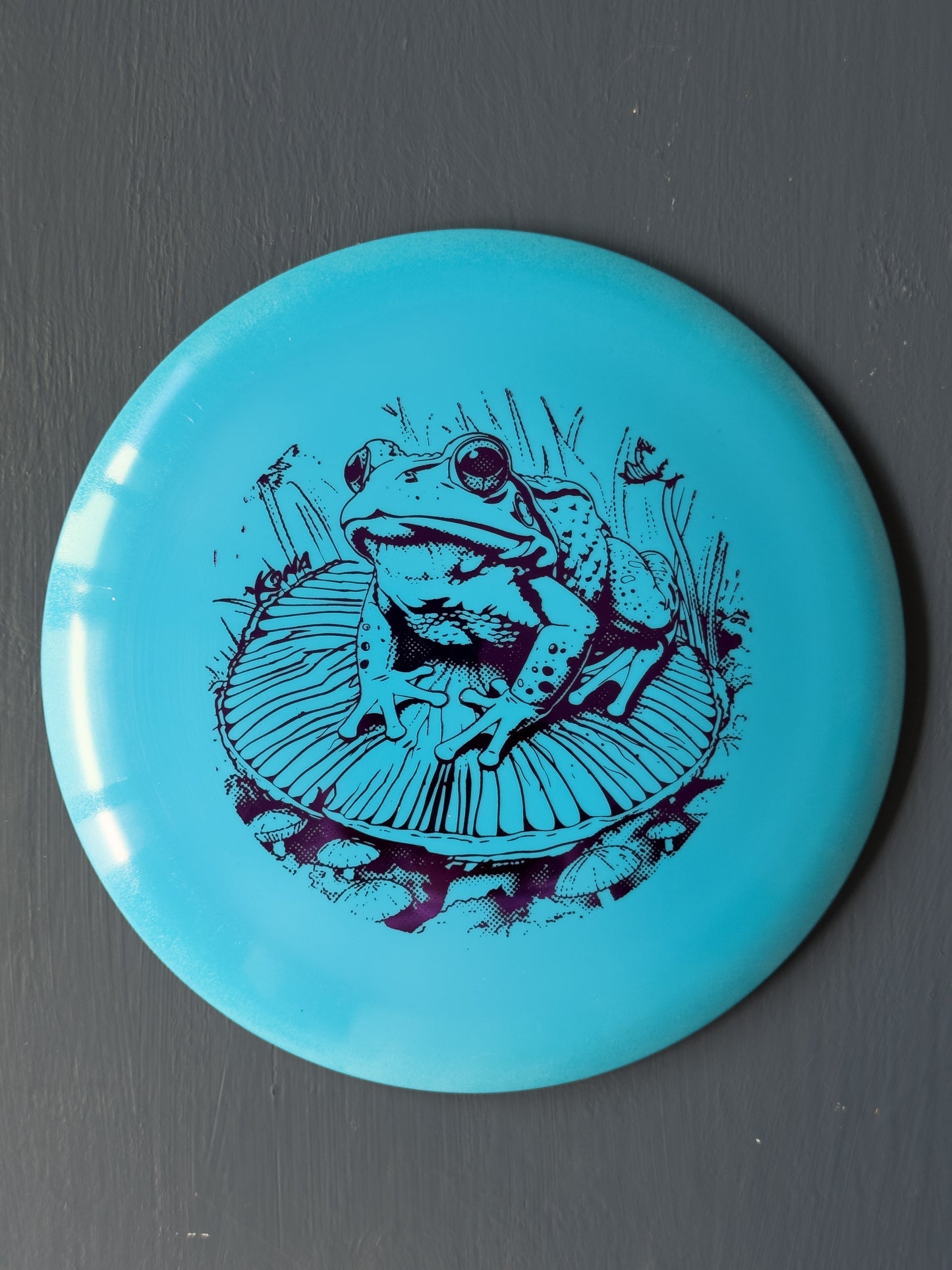 Froggy Star Wraith