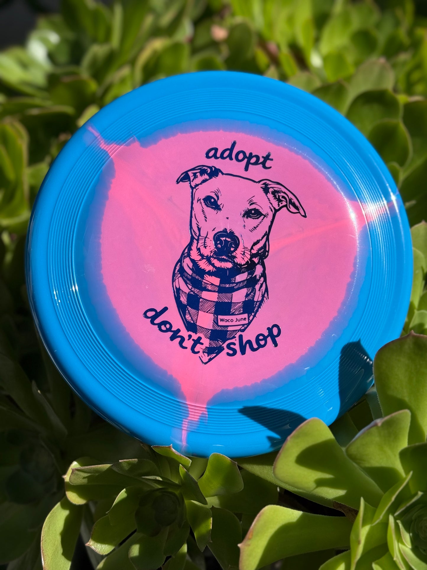 Waco June Super Heros