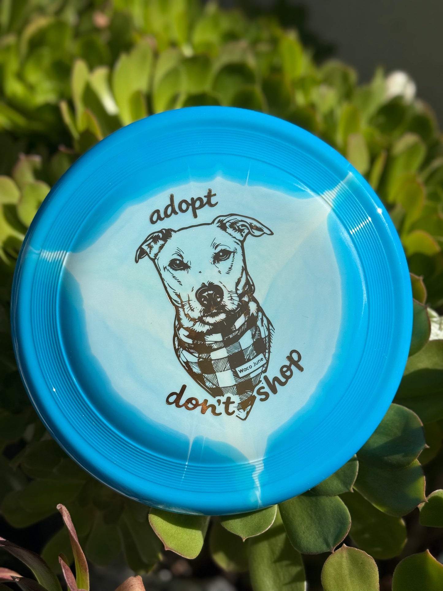 Waco June Super Heros