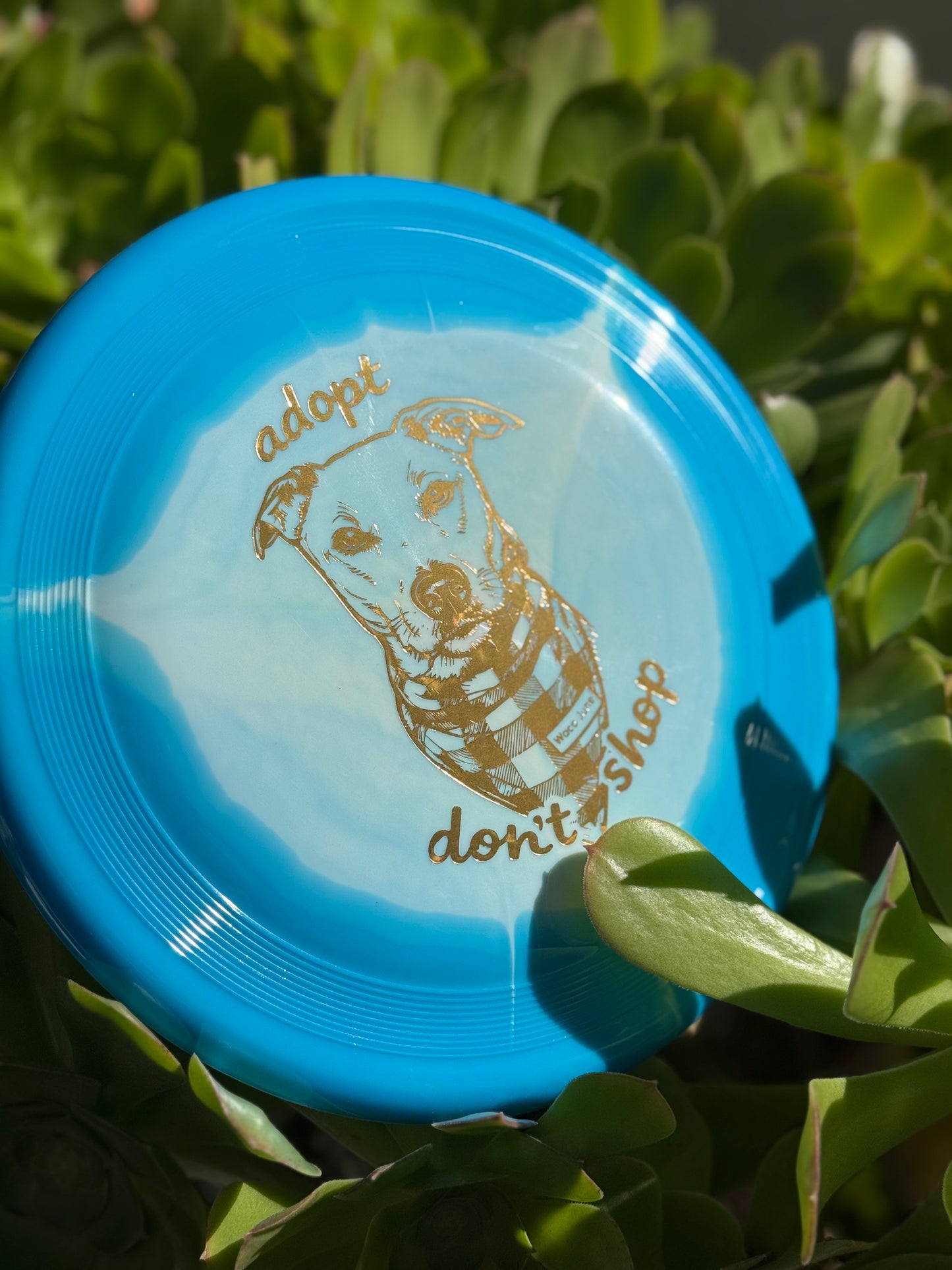 Waco June Super Heros