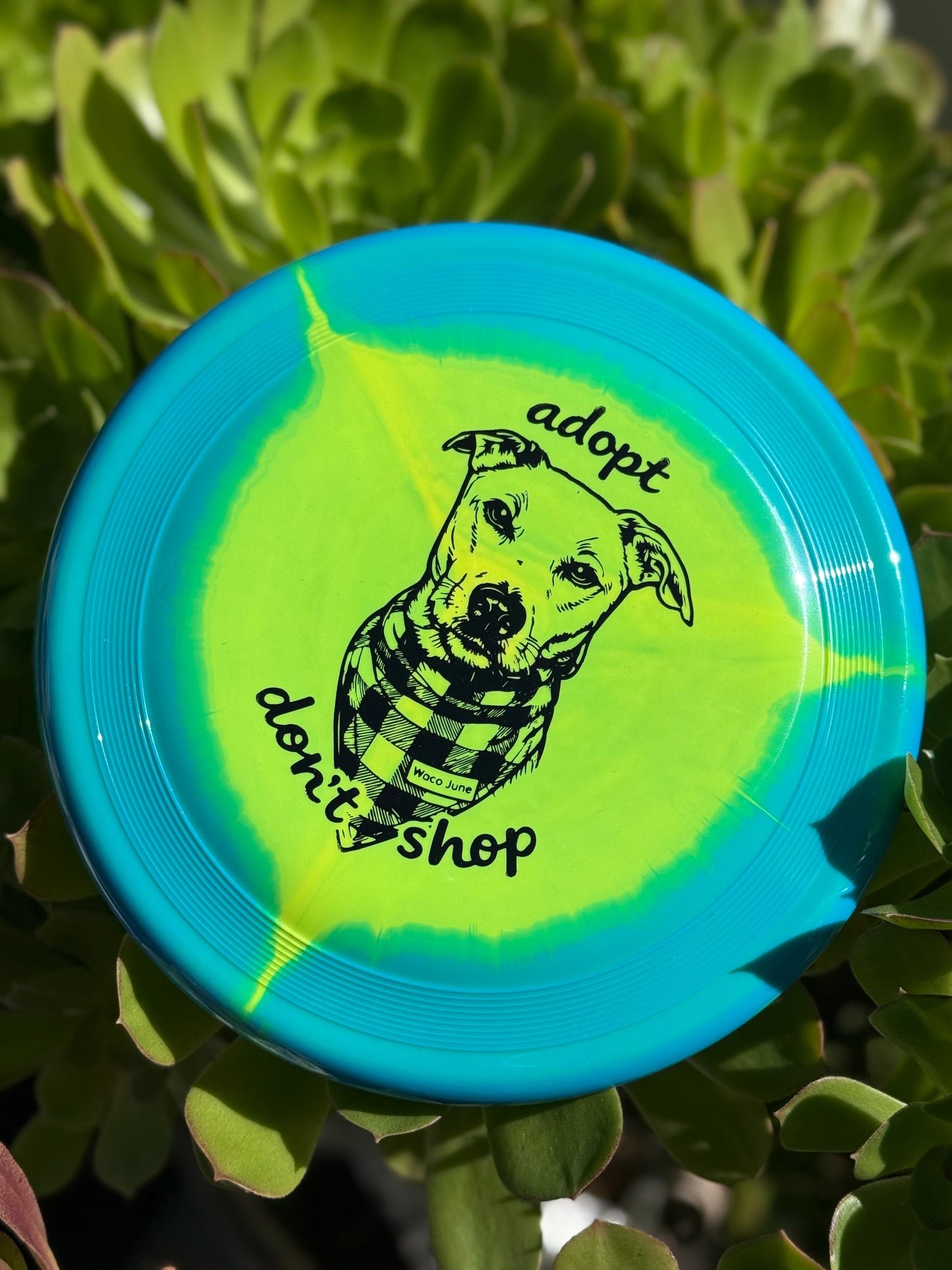 Waco June Super Heros