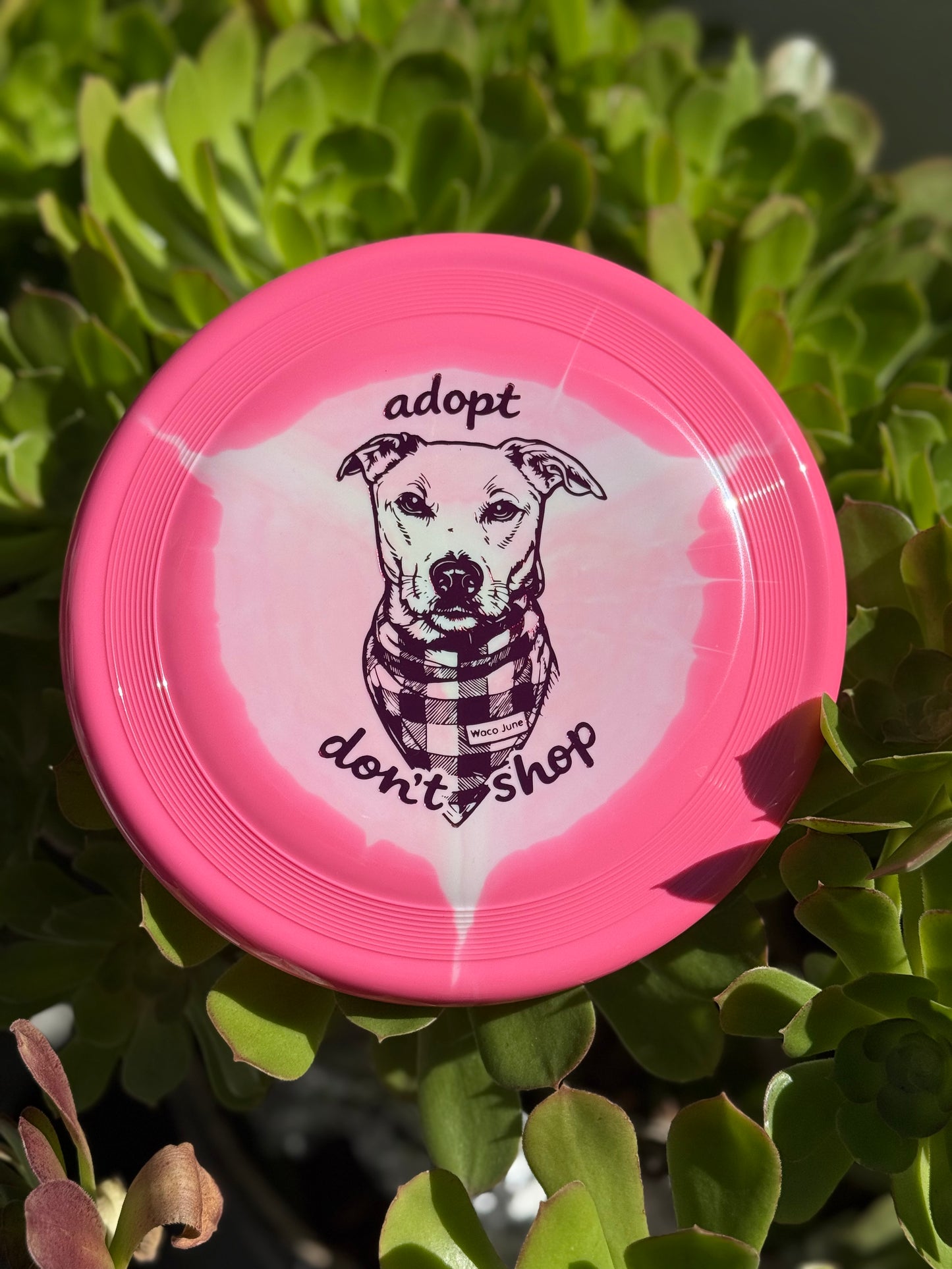 Waco June Super Heros